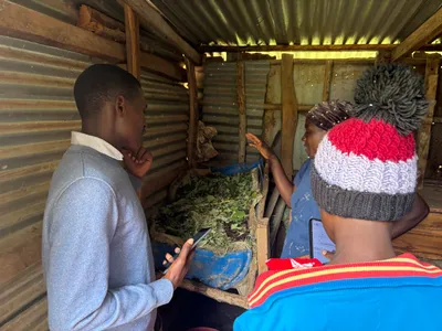 Teaching vermicomposting techniques